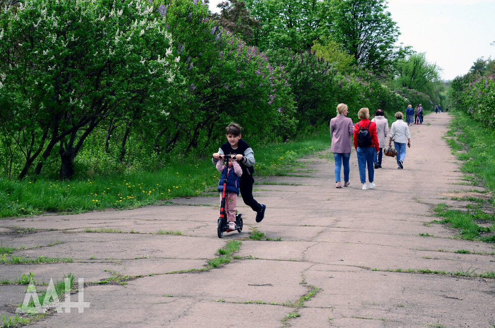 Фото: Донецкое агентство новостей