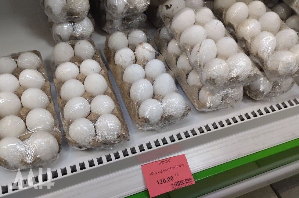 Фото: Донецкое агентство новостей