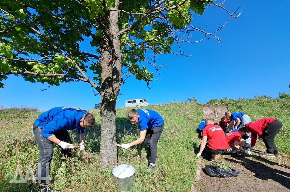 Фото: Донецкое агентство новостей