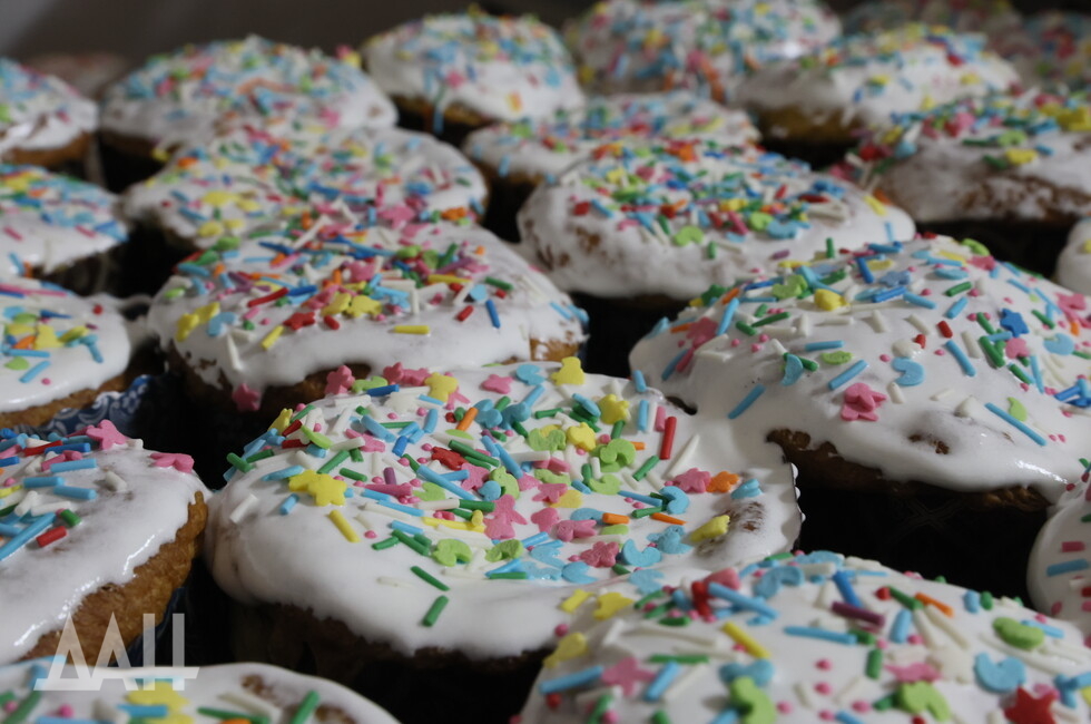 Фото: Донецкое агентство новостей