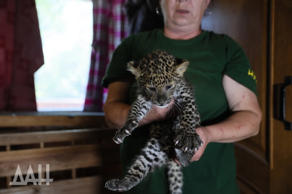Фото: Донецкое агентство новостей