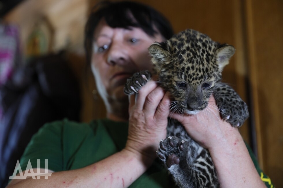Фото: Донецкое агентство новостей
