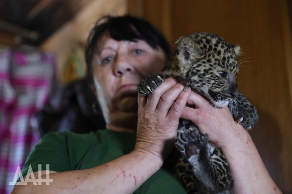 Фото: Донецкое агентство новостей