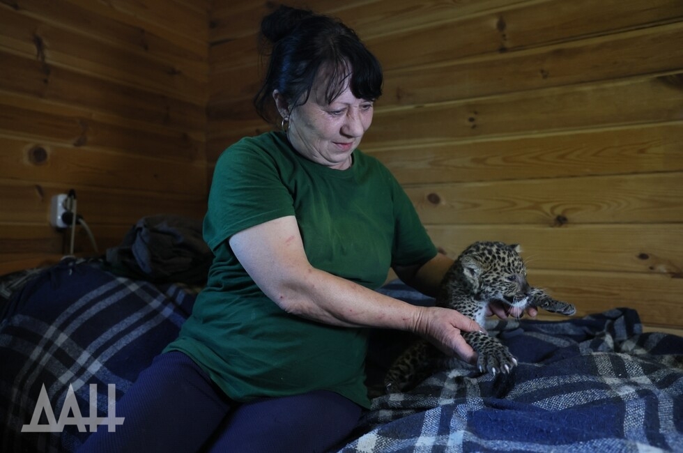 Фото: Донецкое агентство новостей