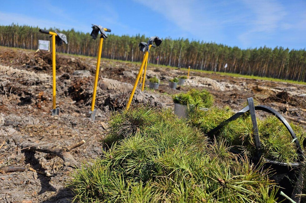 Фото: пресс-служба правительства Нижегородской области