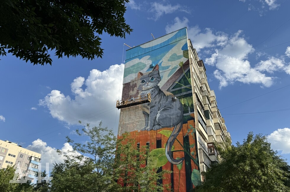 Фото: Донецкое агентство новостей