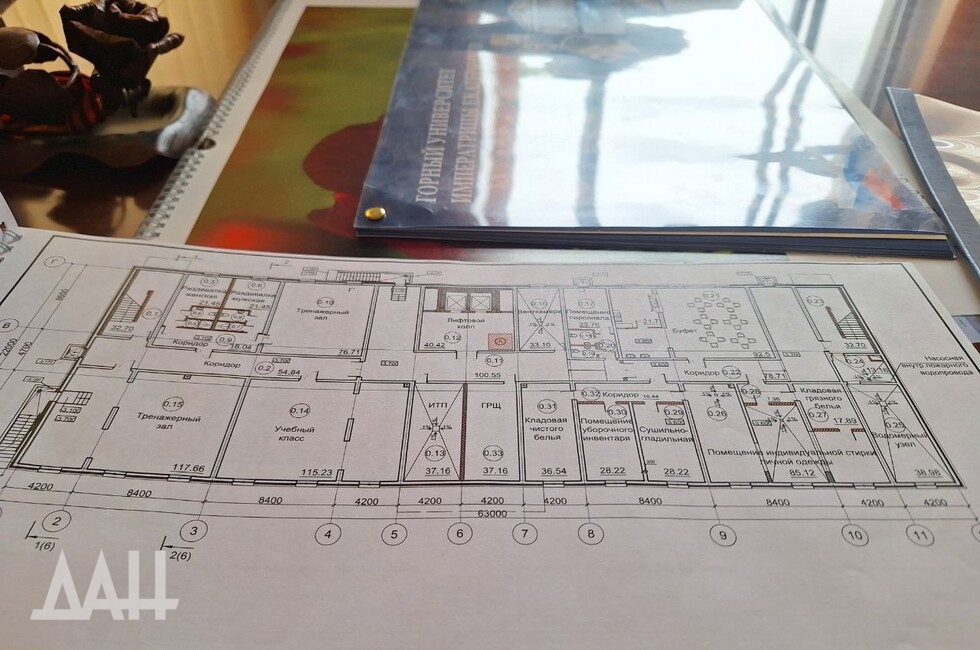Фото: Донецкое агентство новостей