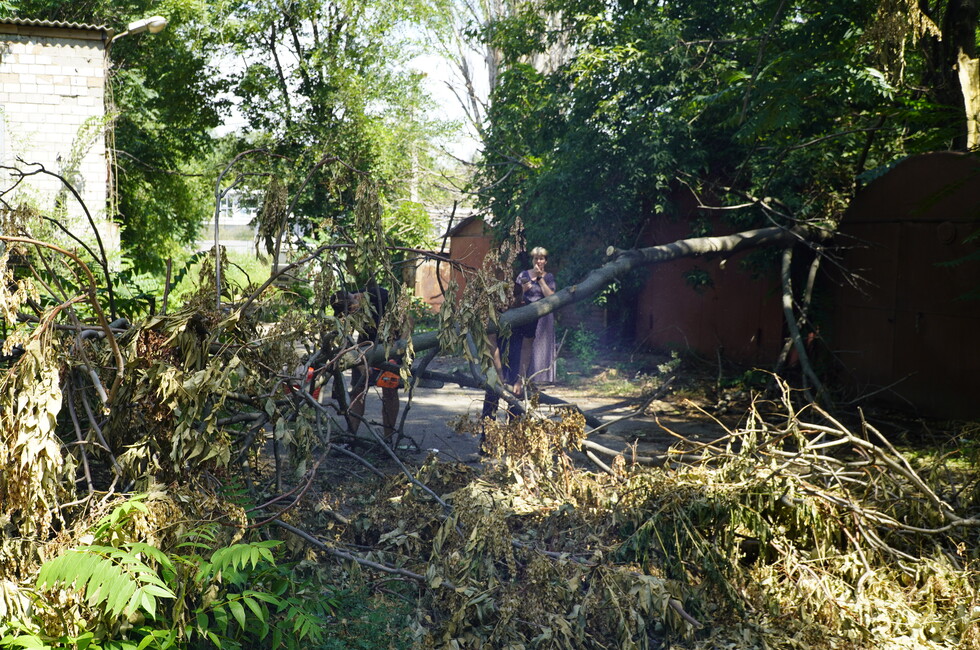 Фото: пресс-служба Минмолполитики ДНР