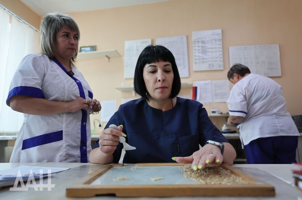 Фото: Донецкое агентство новостей