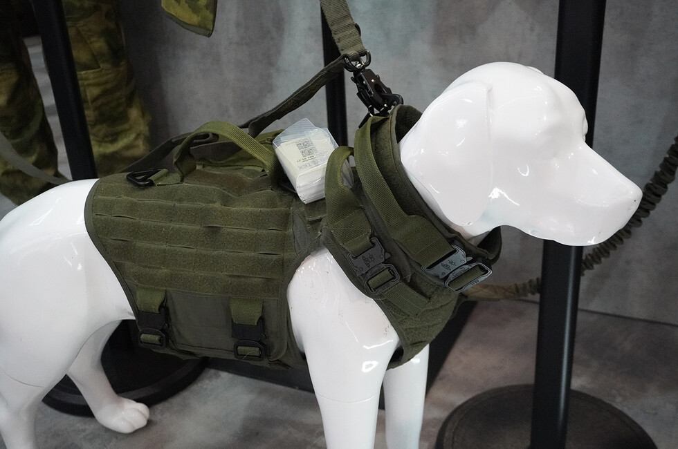 Фото: пресс-служба Корпорации развития Донбасса