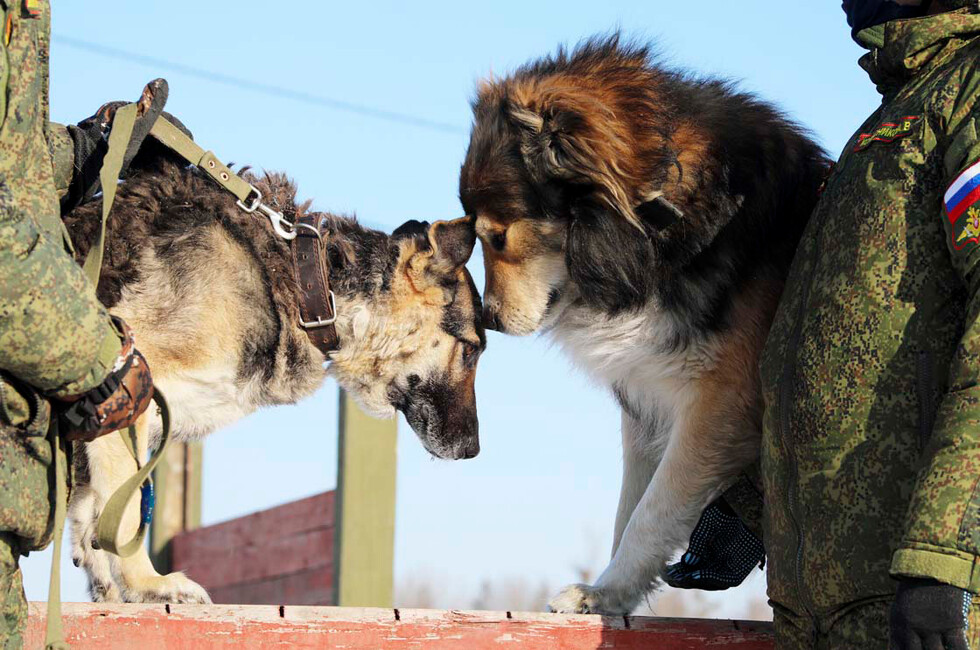 Фото: Минобороны РФ