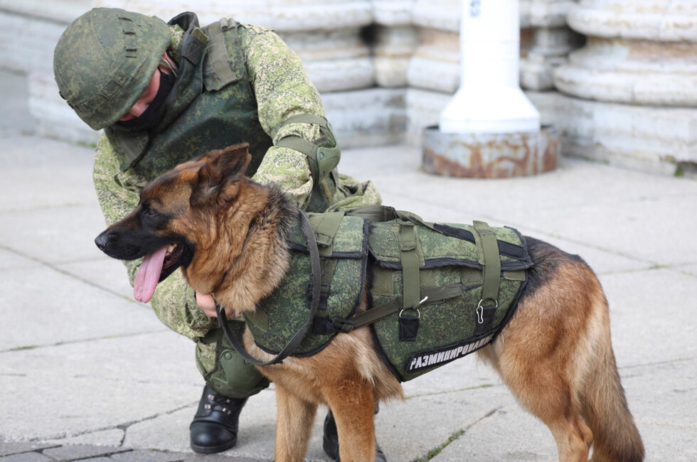 Фото: Минобороны РФ