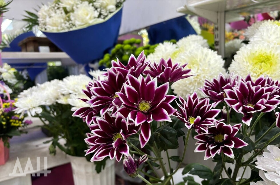 Фото: Донецкое агентство новостей