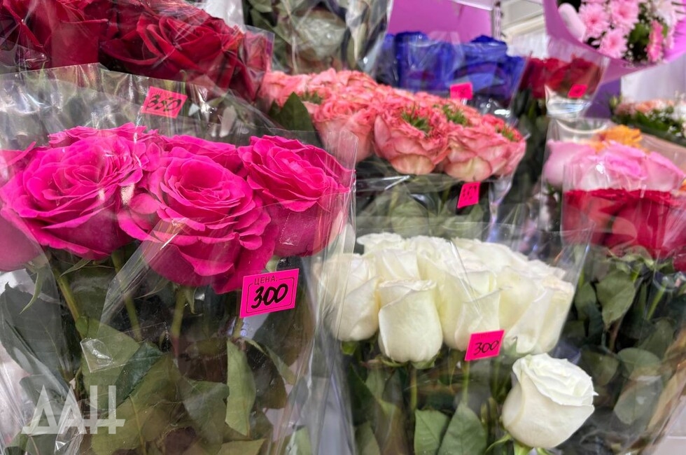 Фото: Донецкое агентство новостей