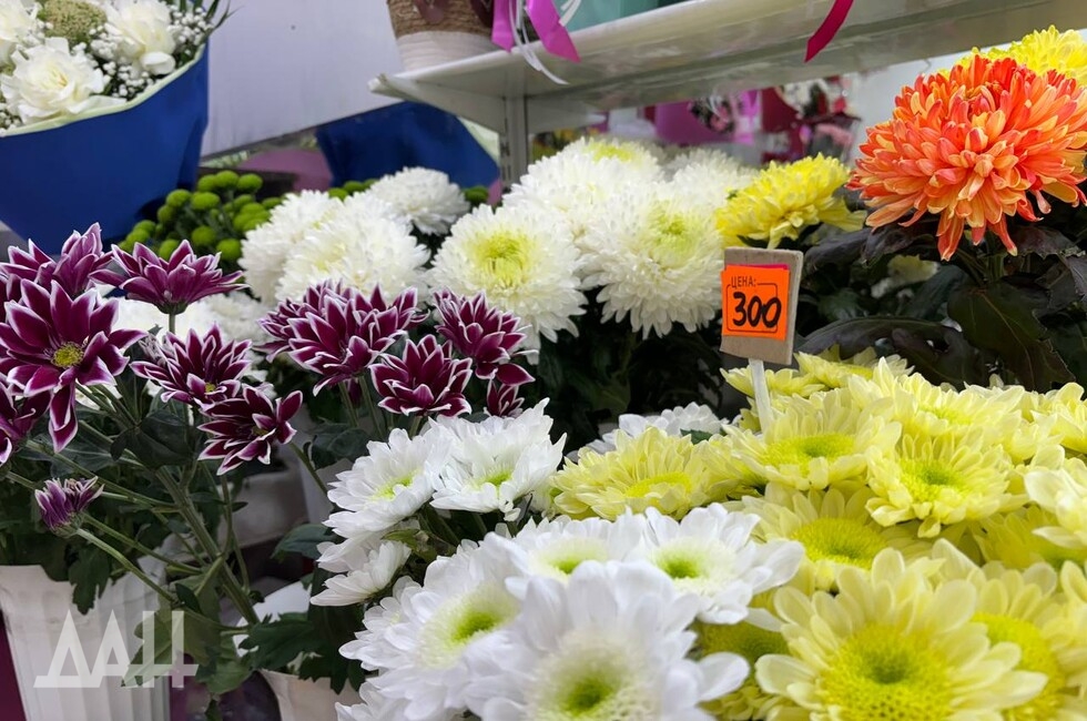 Фото: Донецкое агентство новостей