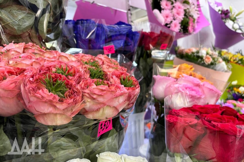 Фото: Донецкое агентство новостей