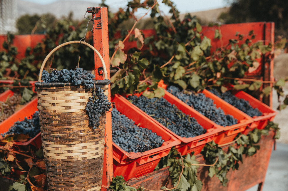 Фото: пресс-служба арт-кластера 