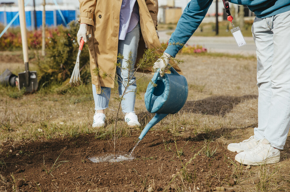 Фото: пресс-служба арт-кластера 