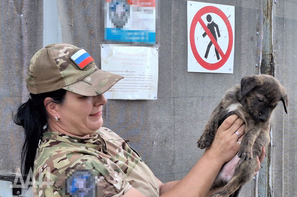 Фото: Донецкое агентство новостей