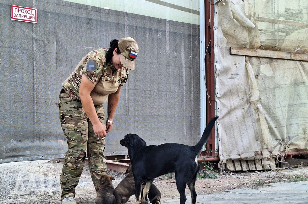 Фото: Донецкое агентство новостей