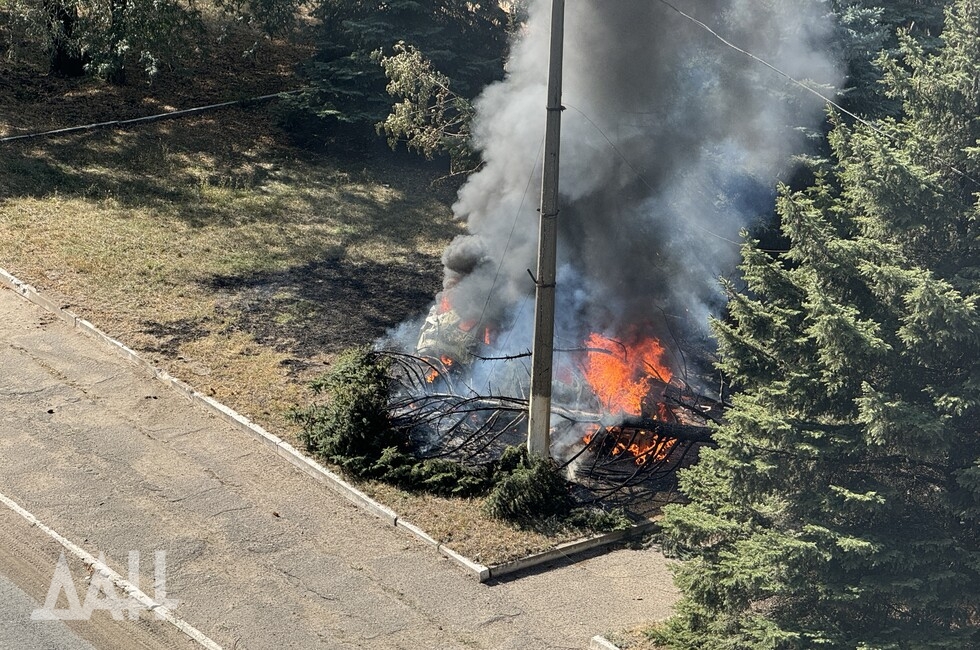 Фото: Донецкое агентство новостей