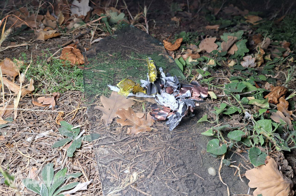 Фото: Донецкое агентство новостей