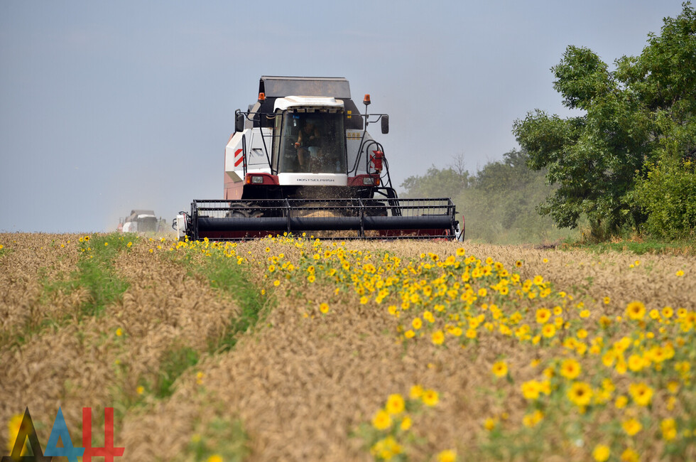 Фото: Донецкое агентство новостей