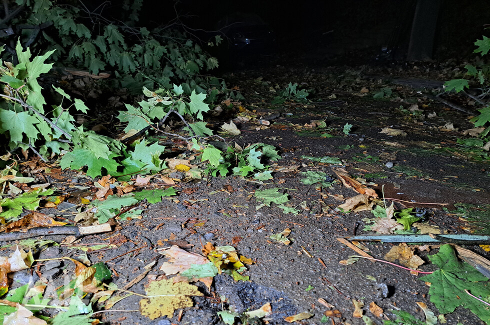 Фото: Донецкое агентство новостей