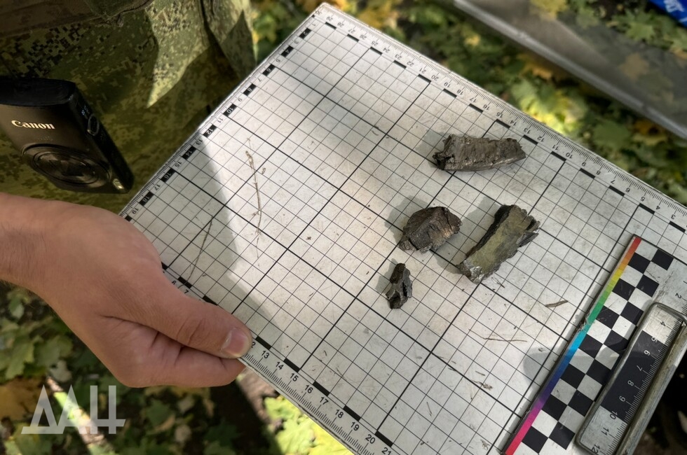 Фото: Донецкое агентство новостей