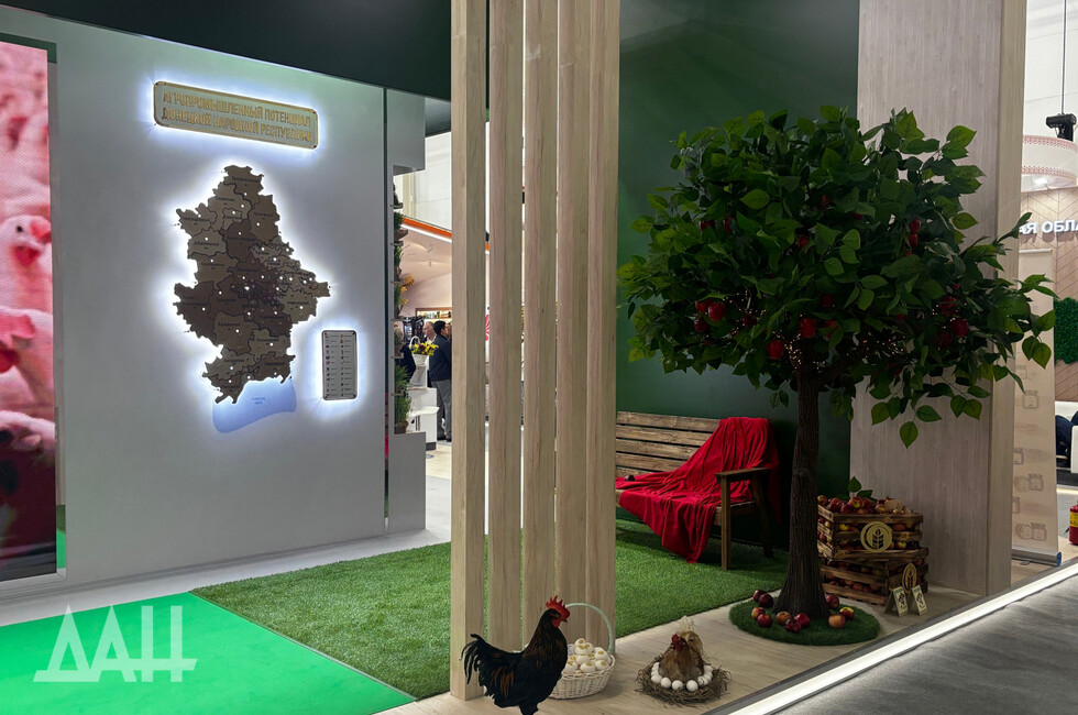 Фото: Донецкое агентство новостей