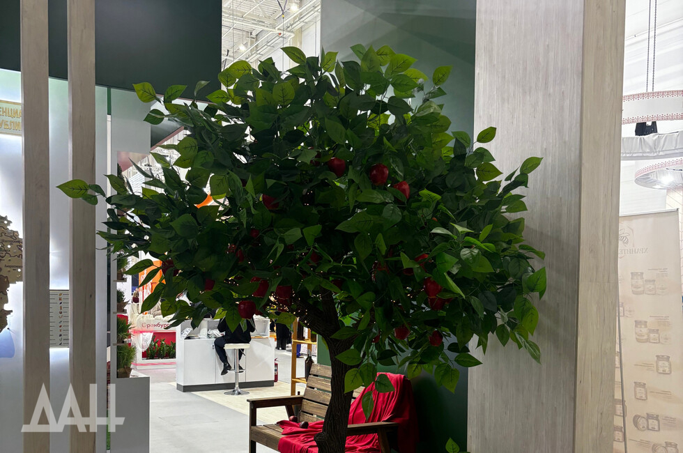 Фото: Донецкое агентство новостей