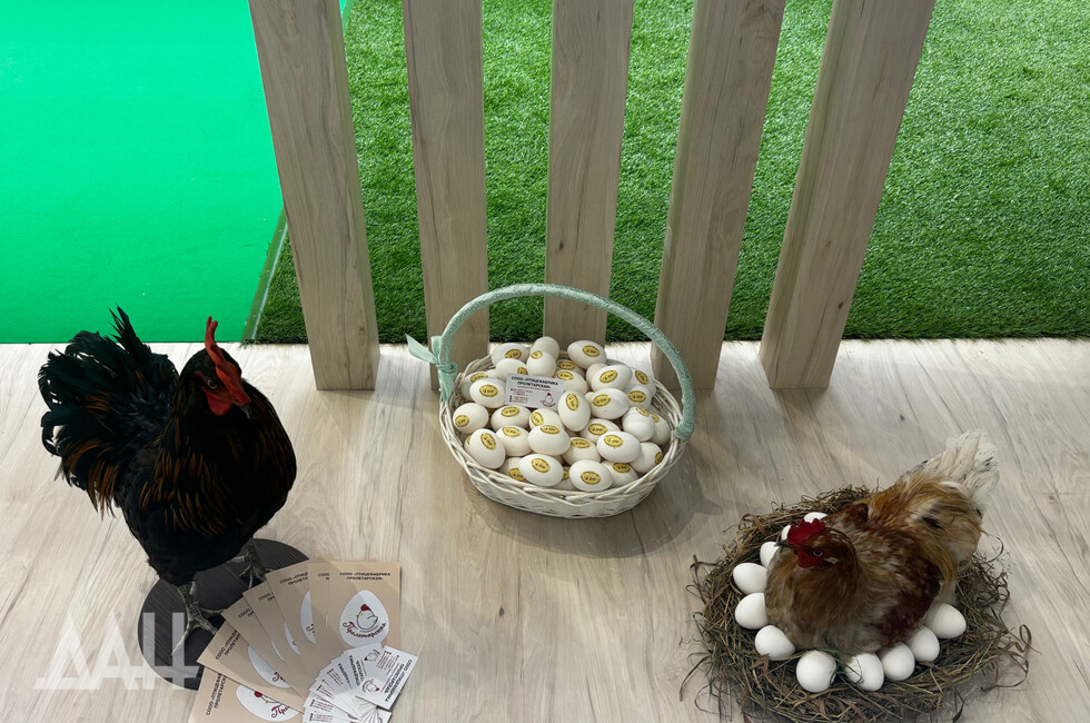 Фото: Донецкое агентство новостей