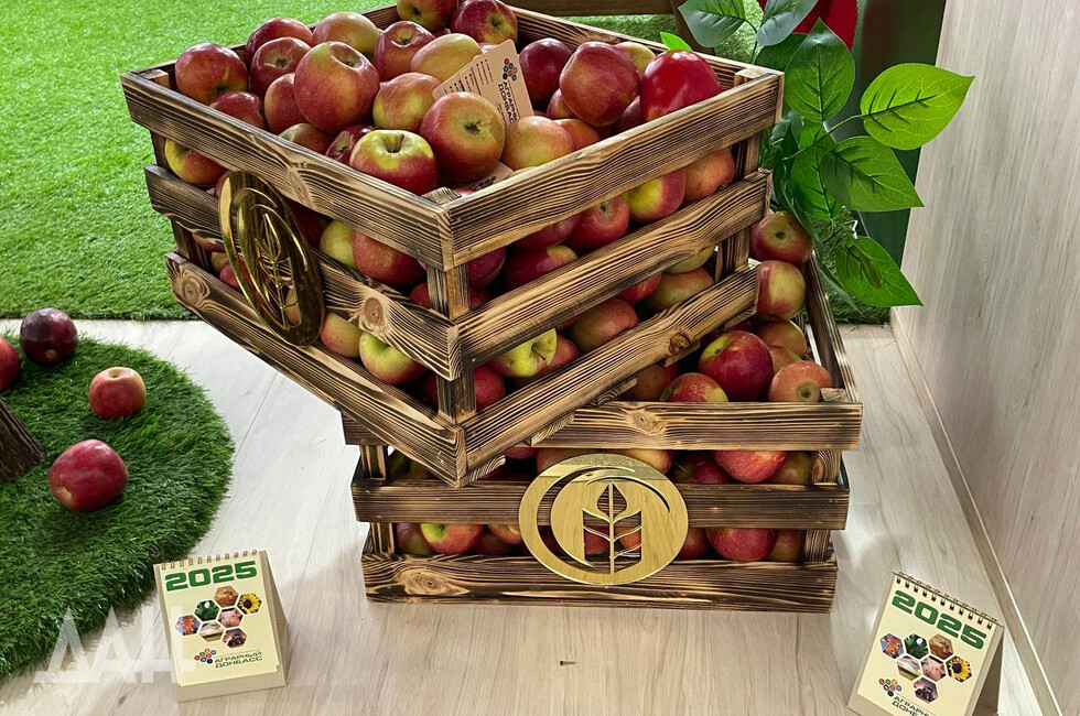 Фото: Донецкое агентство новостей