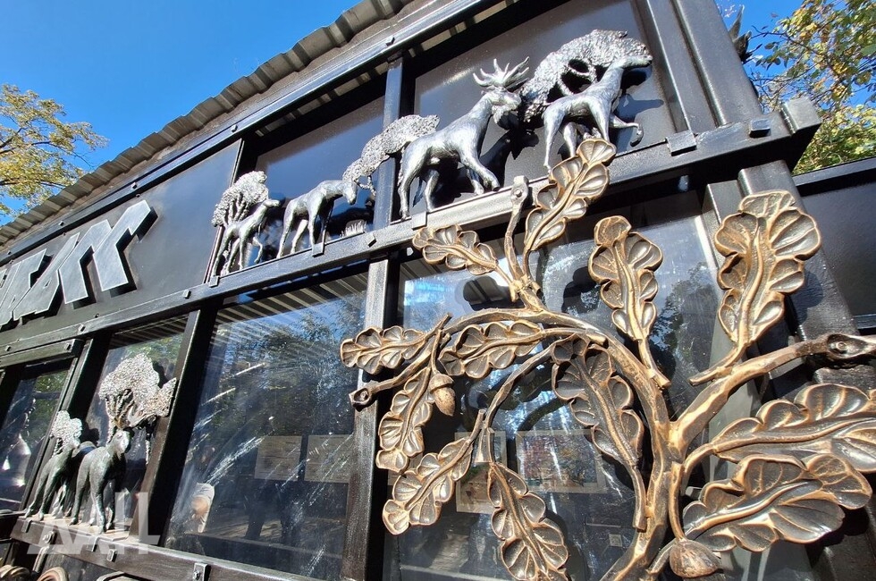 Фото: Донецкое агентство новостей