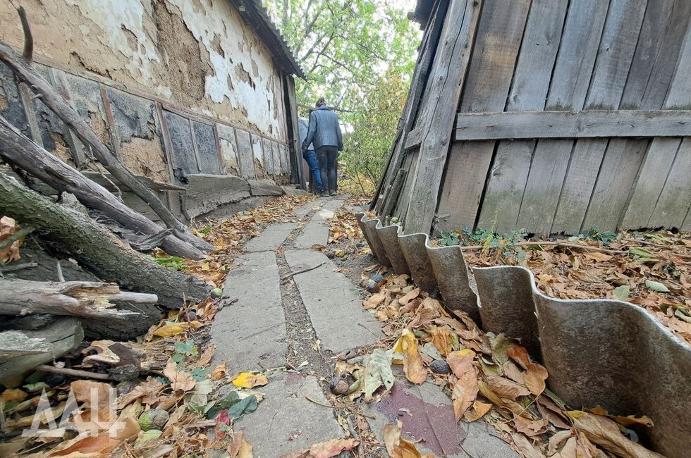 Фото: Донецкое агентство новостей