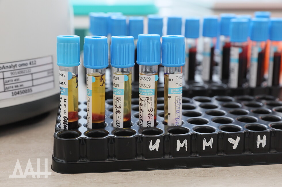 Фото: Донецкое агентство новостей