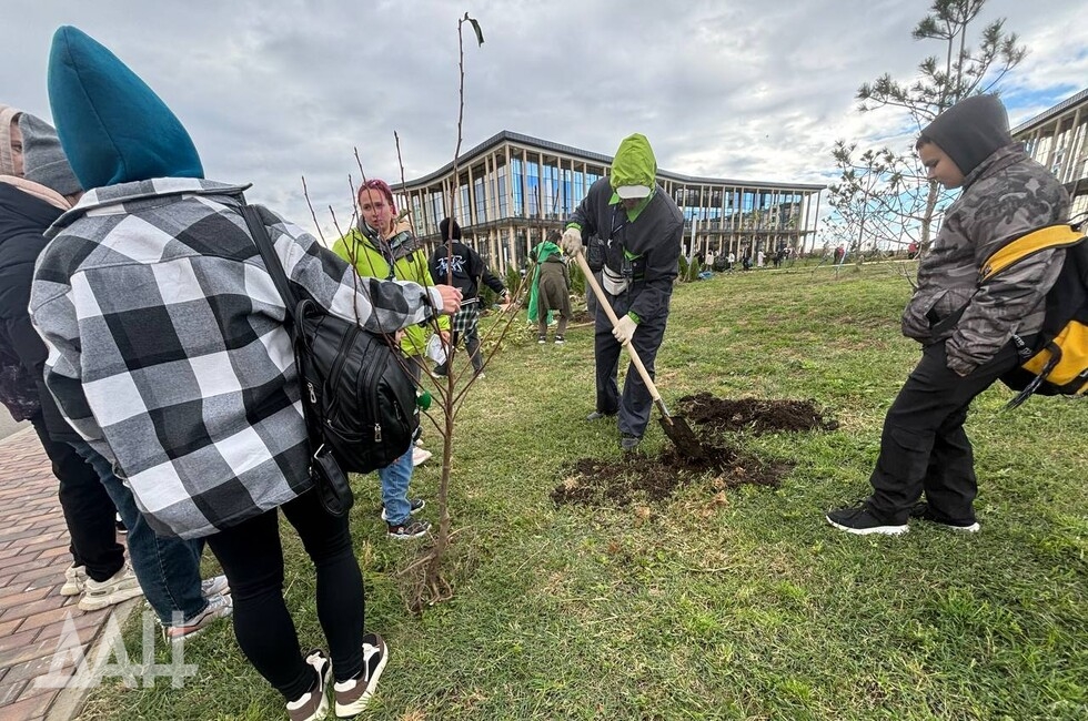 Фото: Донецкое агентство новостей