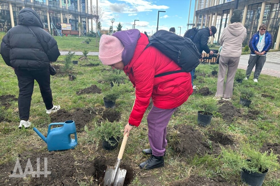 Фото: Донецкое агентство новостей