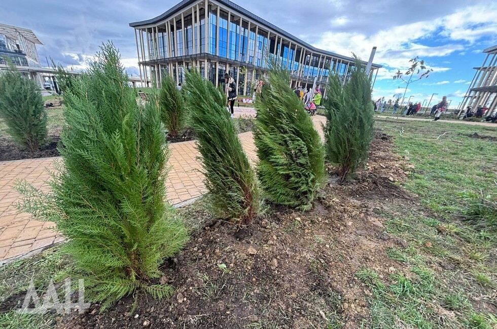 Фото: Донецкое агентство новостей