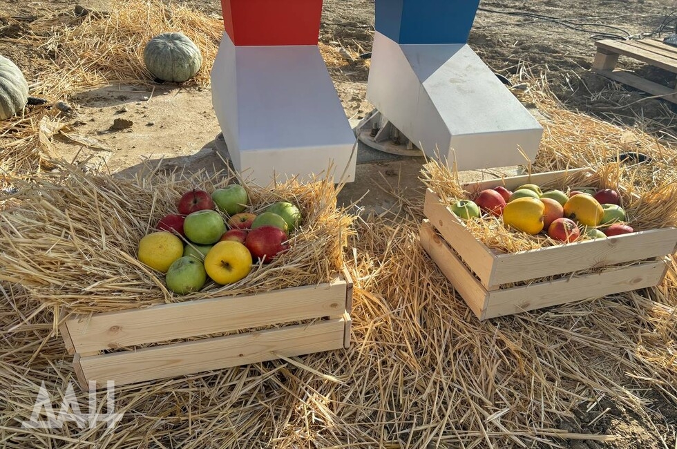 Фото: Донецкое агентство новостей