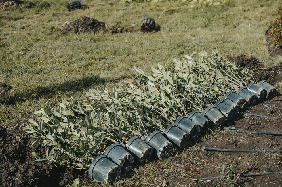 Фото: пресс-служба 