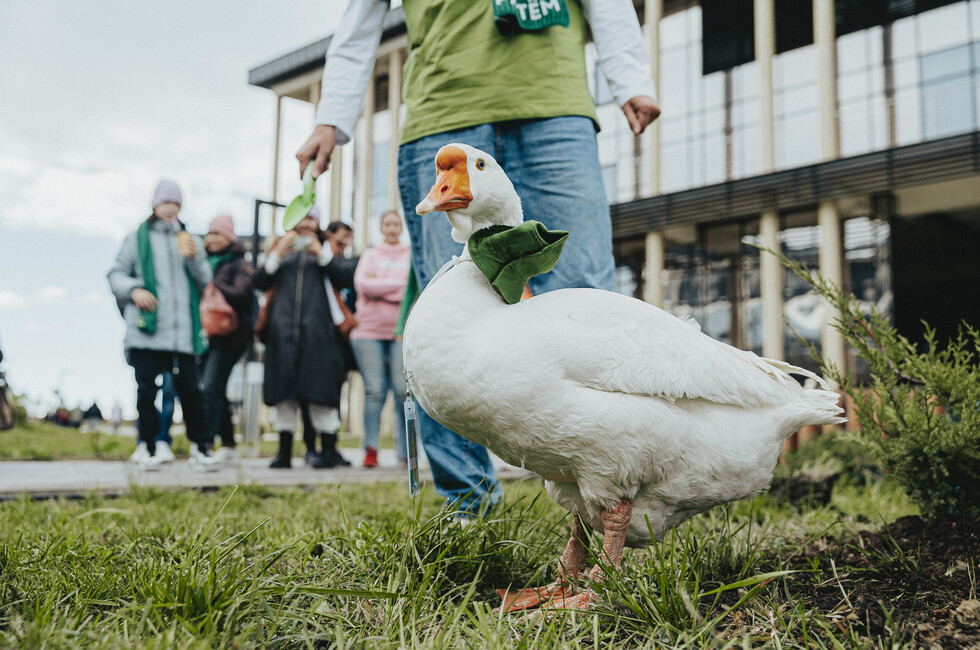 Фото: пресс-служба 