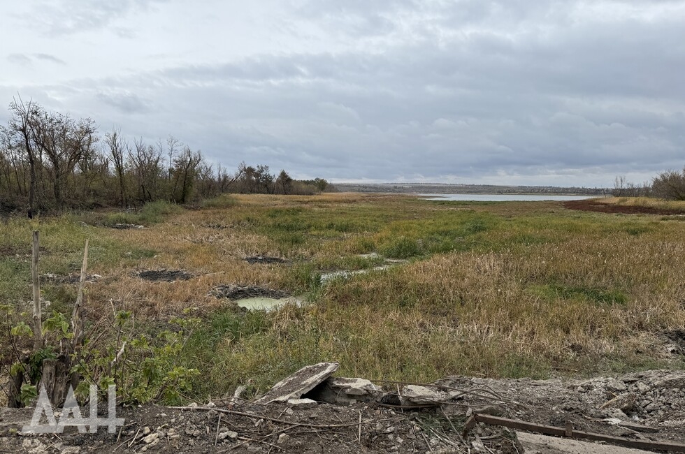 Фото: Донецкое агентство новостей