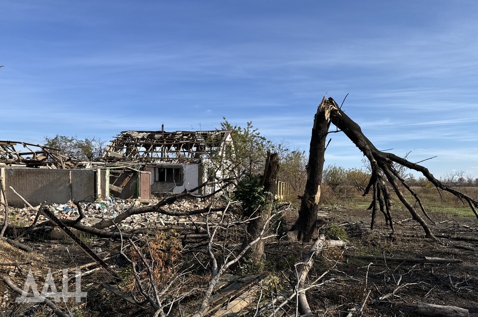 Фото: Донецкое агентство новостей