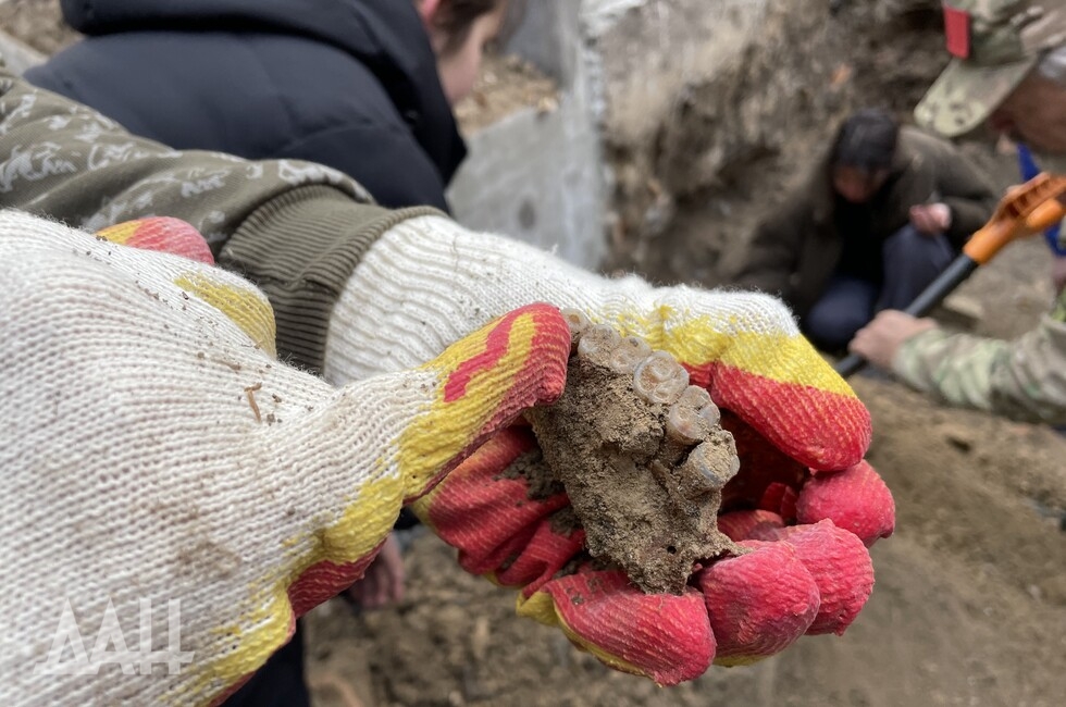 Фото: Донецкое агентство новостей