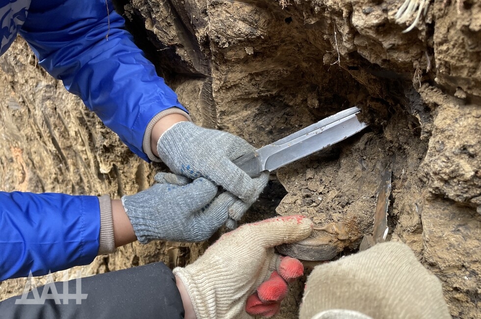 Фото: Донецкое агентство новостей