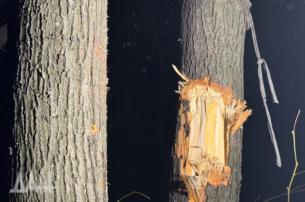 Фото: Донецкое агентство новостей