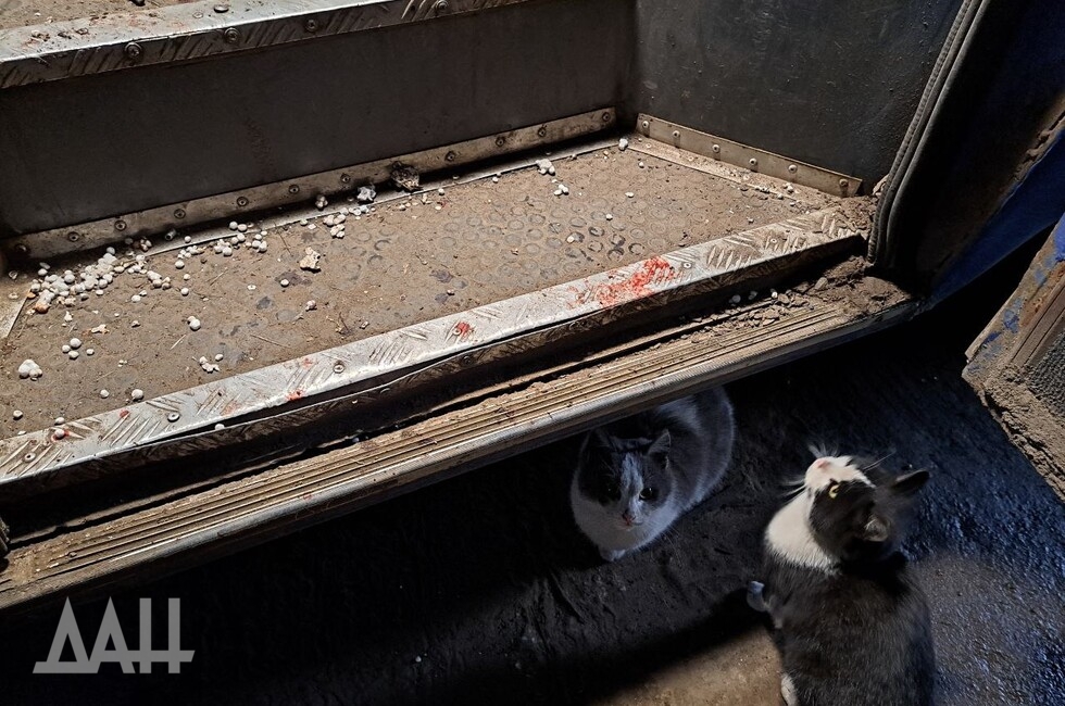 Фото: Донецкое агентство новостей