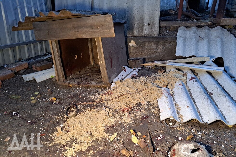 Фото: Донецкое агентство новостей