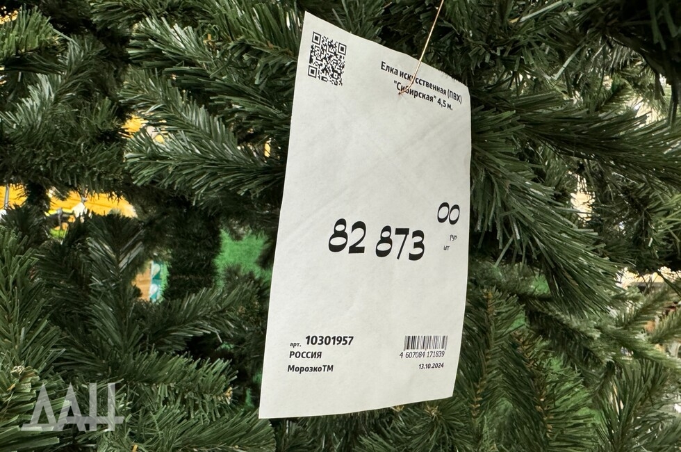 Фото: Донецкое агентство новостей